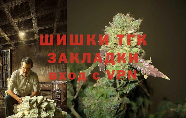 соль ск Сясьстрой