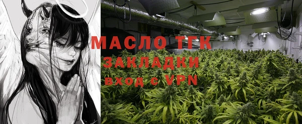 индика Кирсанов