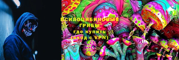 соль ск Сясьстрой