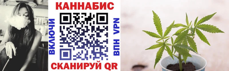 Бошки марихуана гибрид  Будённовск 